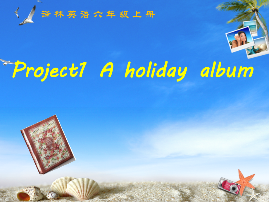 Project 1 A holiday album-Part C & D-ppt课件-(含教案)-市级公开课-新牛津译林版六年级上册(编号：7295d).zip