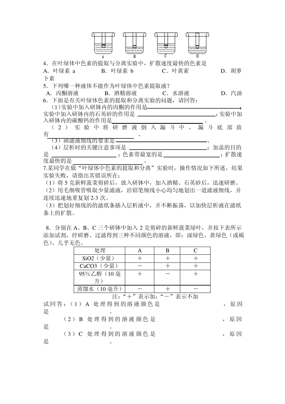 绿叶中色素的提取和分离.pdf_第3页