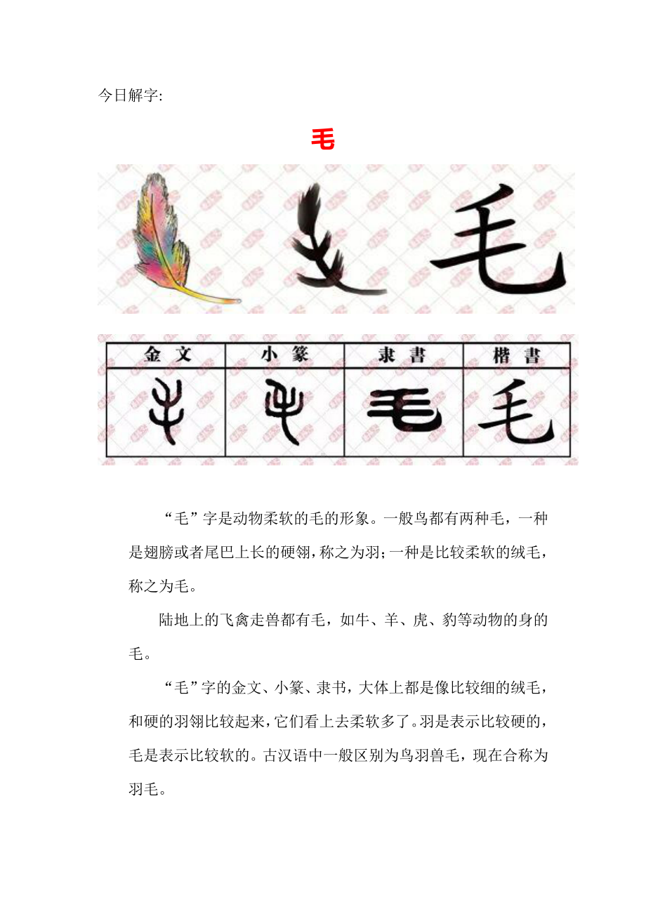 （汉字深度解析）今日解字：毛.docx_第1页