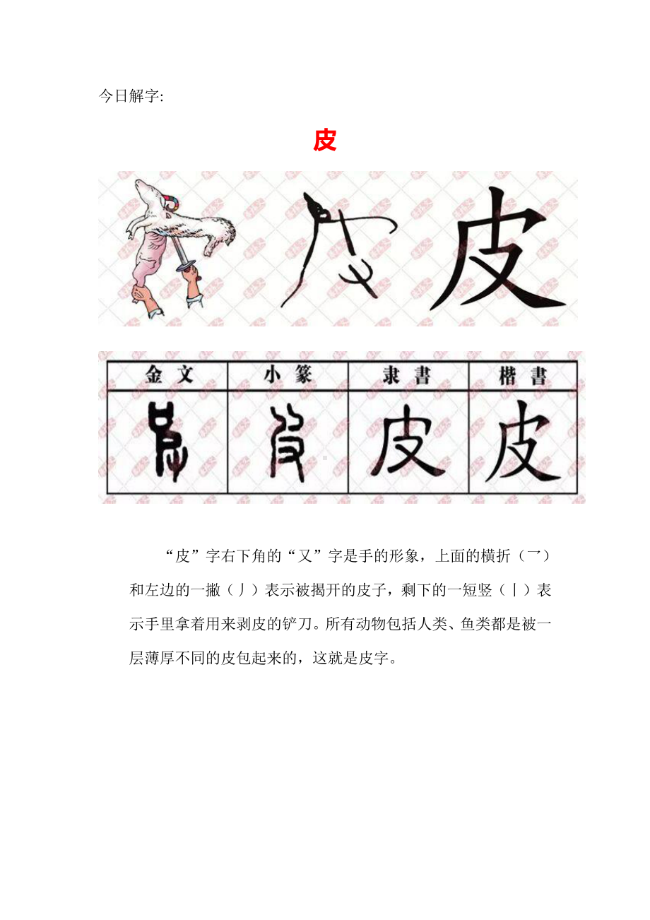 （汉字深度解析）今日解字：皮.docx_第1页