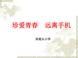 珍爱青春远离手机-主题班会ppt课件 (共69张PPT).ppt