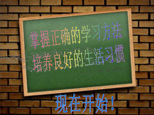 掌握正确的学习方法,培养良好的学习习惯主题班会ppt课件(共31张PPT).ppt