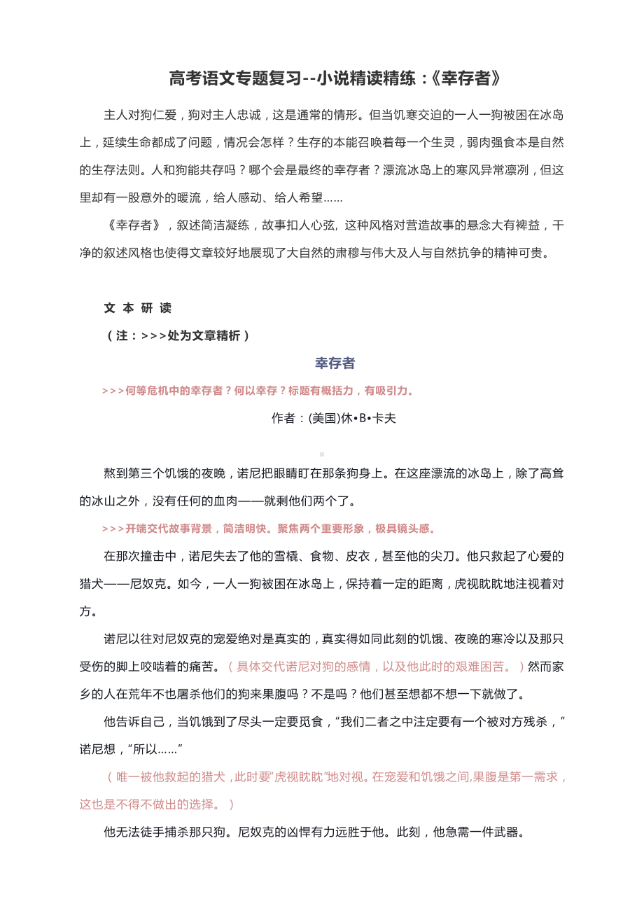 高考语文专题复习-小说精读精练：《幸存者》.docx_第1页