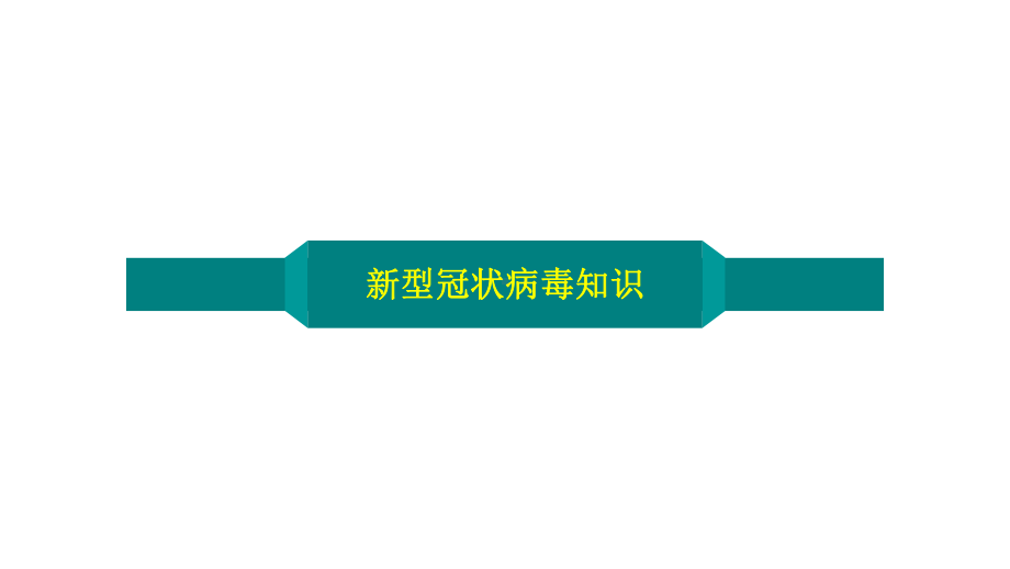 高三复学 主题班会ppt课件开学第一课（讲疫情、讲生命、讲爱国讲高考）（52张PPT）.pptx_第3页