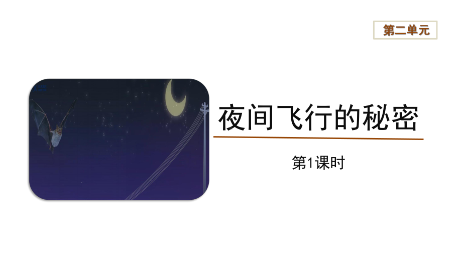 四年级语文上册：6《夜间飞行的秘密》第1课时（课件）.pptx_第1页