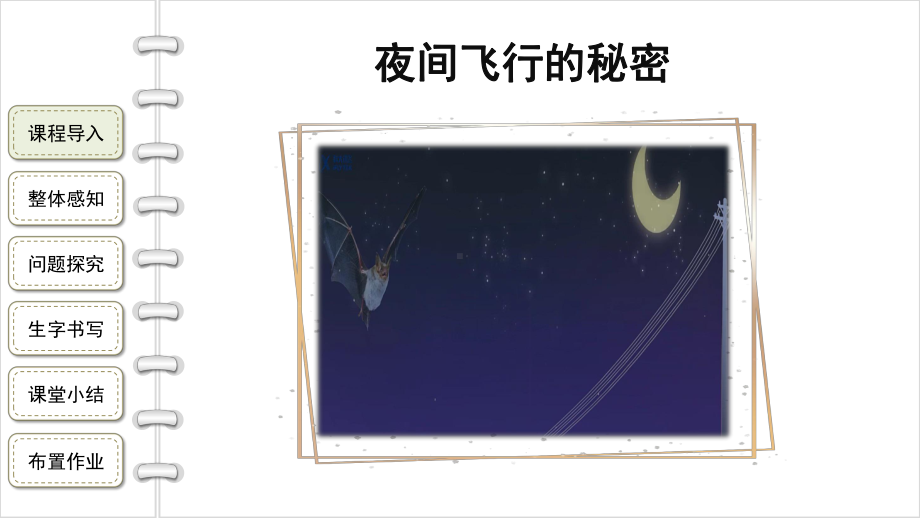 四年级语文上册：6《夜间飞行的秘密》第1课时（课件）.pptx_第3页