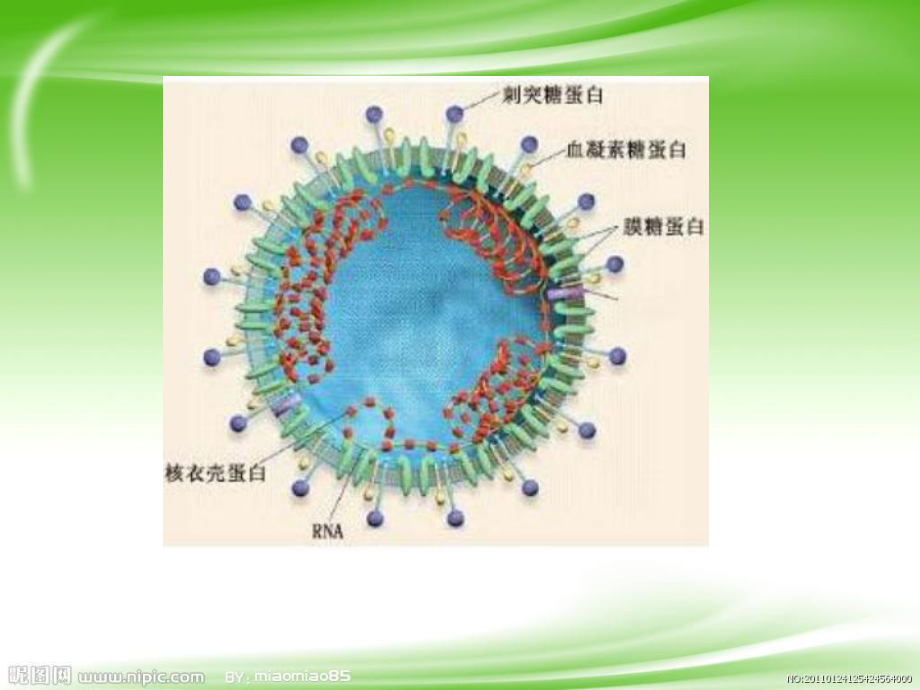 停课不停学 高二十班主题班会ppt课件（18张PPT）.ppt_第3页