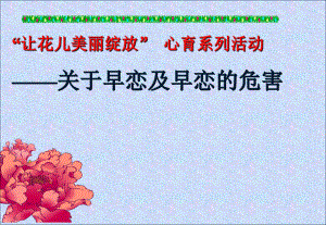 关于早恋及早恋的危害主题班会ppt课件（共70张ppt）.ppt