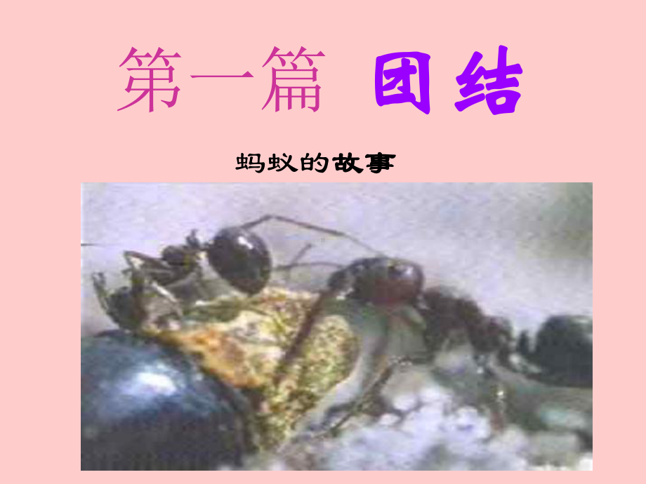 团结宽容奋进ppt课件.ppt_第3页