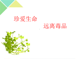 青少年珍爱生命远离毒品ppt课件（27张PPT）.ppt