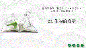 2021新青岛版（六三制）五年级上册科学23.《生物的启示》ppt课件.pptx