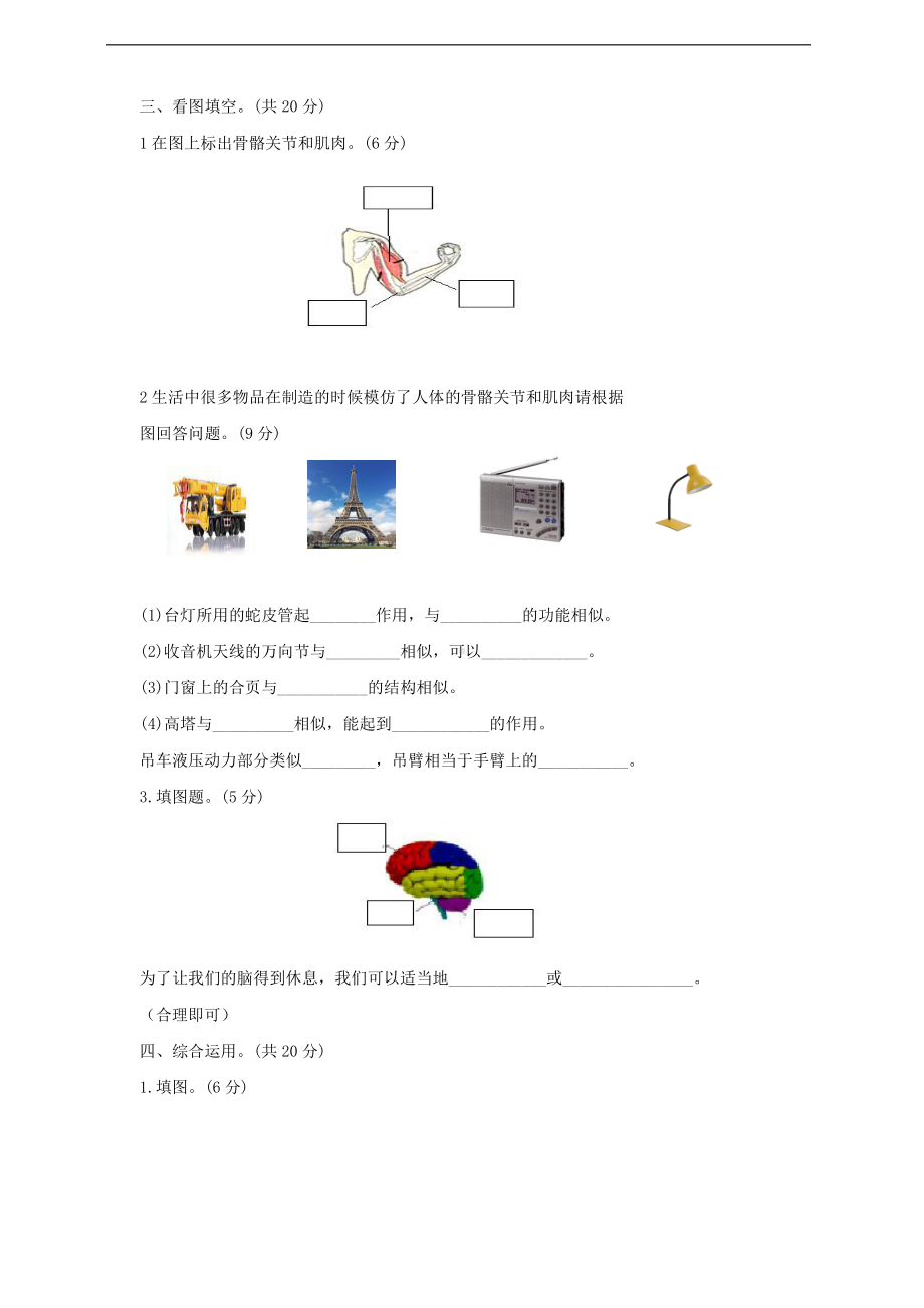 2021新教科版五年级上册科学第四单元健康生活检测卷（一）（含答案）.doc_第3页