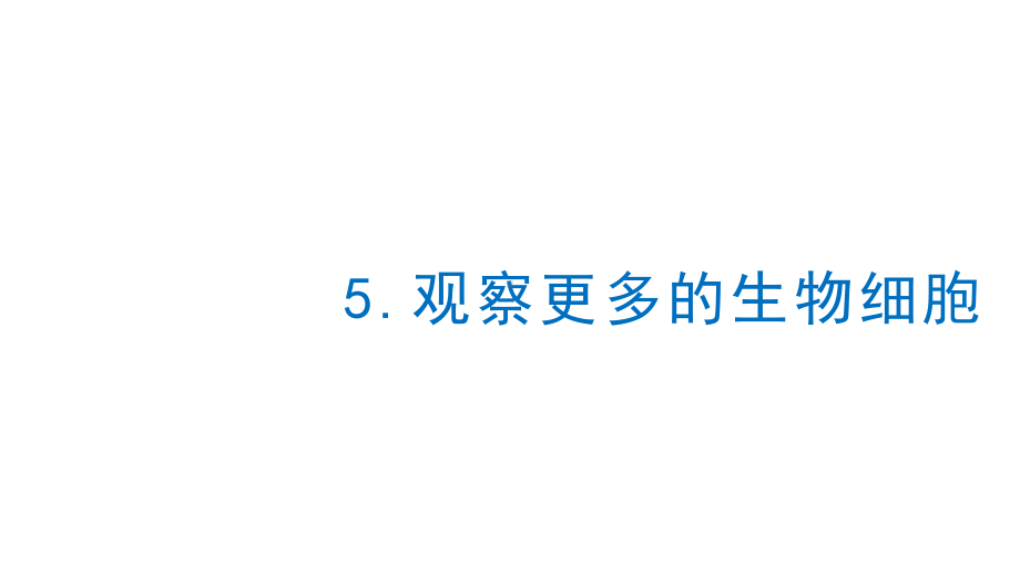 2021新教科版六年级上册科学5 观察更多的生物细胞ppt课件.pptx_第1页