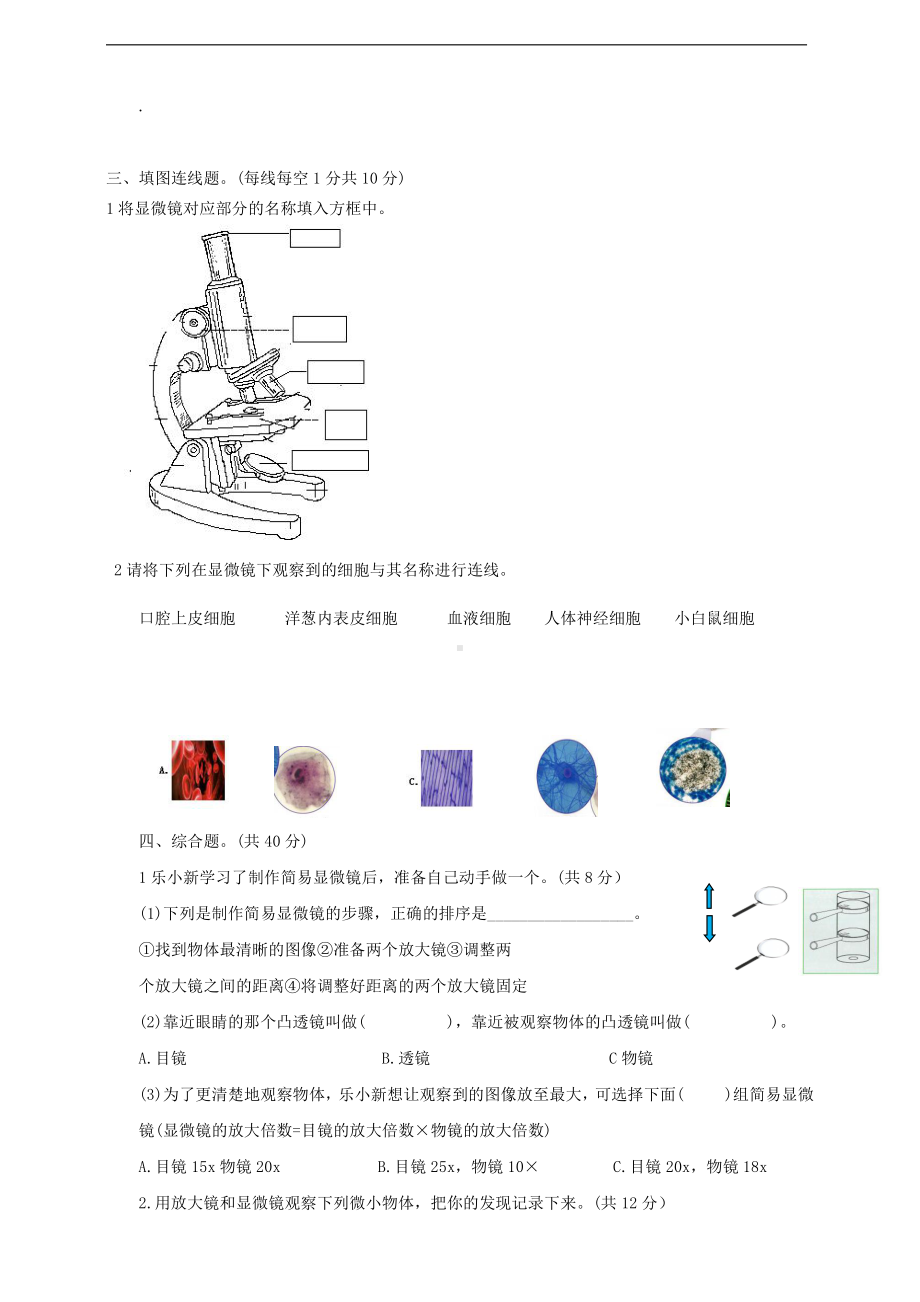 2021新教科版六年级上册科学第一单元微小世界检测卷（一）（含答案）.doc_第3页