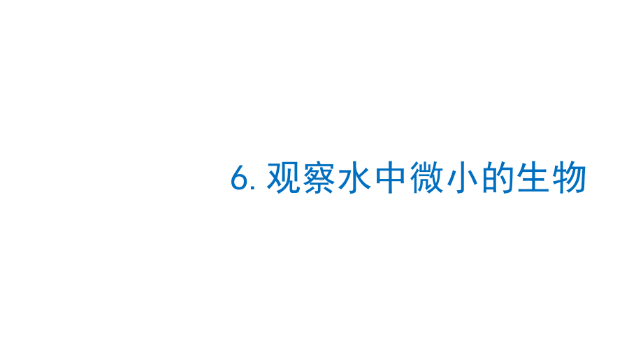 2021新教科版六年级上册科学1.6观察水中微小的生物ppt课件.pptx_第1页