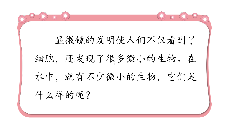 2021新教科版六年级上册科学1.6观察水中微小的生物ppt课件.pptx_第2页