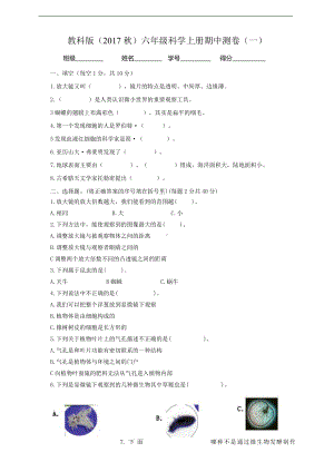 2021新教科版六年级上册科学期中检测卷（一）（含答案）.doc