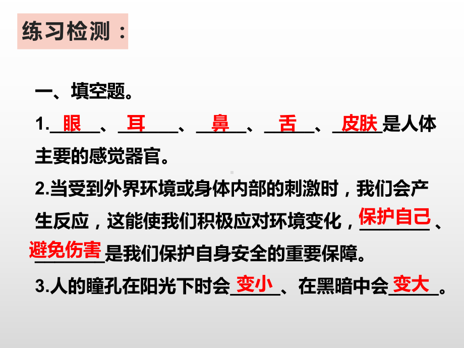 2021新湘教版五年级上册科学 第一单元我们的脑复习ppt课件.pptx_第3页