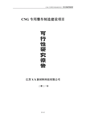 CNG专用整车制造项目可行性研究报告-立项方案.doc