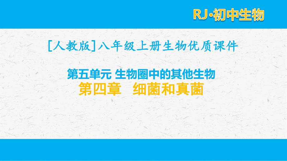 人教版八年级上生物5.4第四章 细菌和真菌章节单元全套课件.pptx_第1页