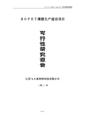 ＢＯＰＥＴ薄膜生产项目可行性研究报告-立项方案.doc