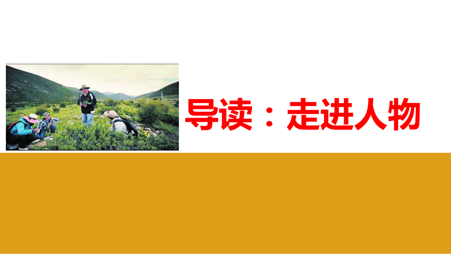 部编新版高中语文必修上册 《“探索者”钟扬》教学课件.ppt_第3页