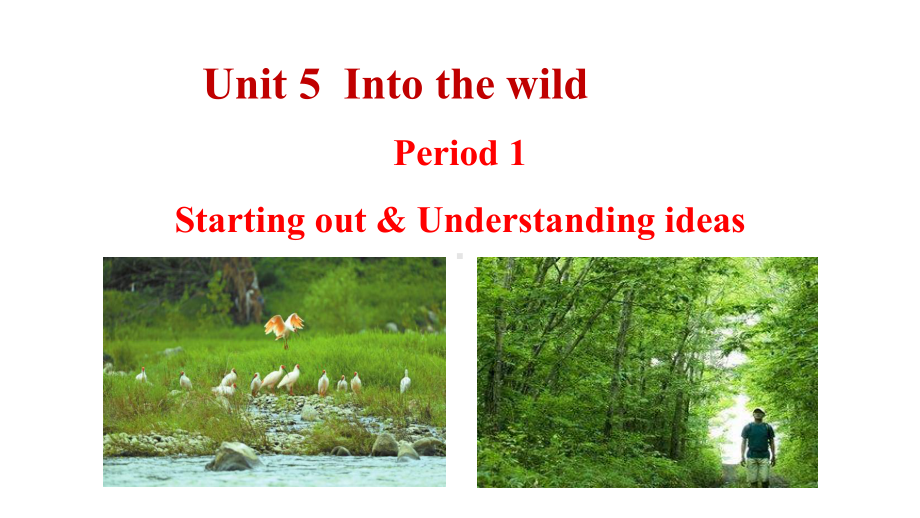 Unit 5 Into the wildStarting out and Understanding ideas PPT课件 （2021新外研版高中英语必修第一册（高一上学期英语））.ppt_第1页