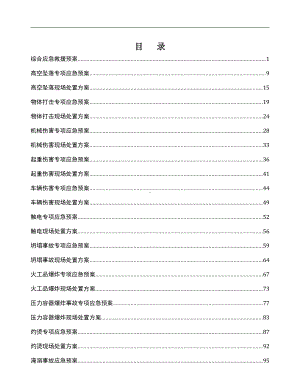 应急预案及现场处置方案.doc