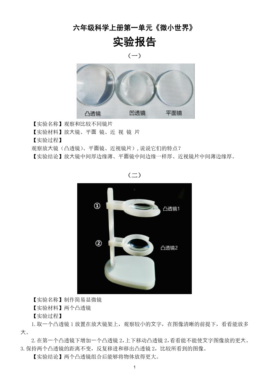 小学科学教科版六年级上册第一单元《微小世界》实验报告（2021新版）.doc_第1页