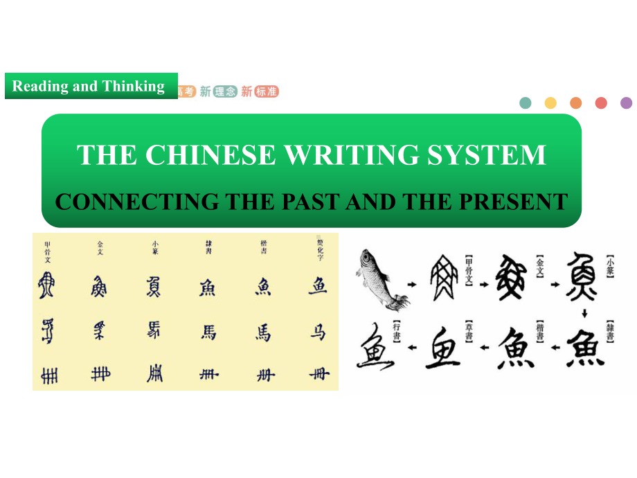 Unit 5 Reading and Thinking PPT课件-（2021新人教版）高中英语必修第一册（高一上学期）.ppt_第3页