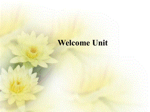 Welcome Unit Discovering Useful Structures PPT课件 -（2021新人教版）高中英语必修第一册（高一上学期）.pptx