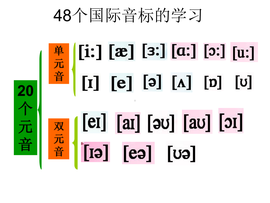 （2021新人教版）高中英语必修第一册48国际音标含视频ppt课件.pptx_第2页