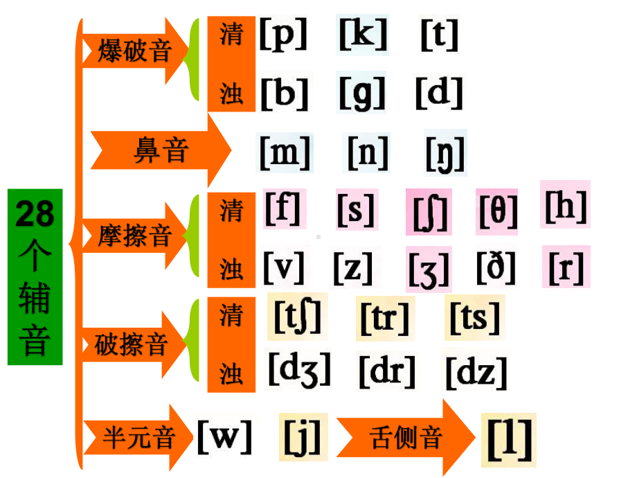 （2021新人教版）高中英语必修第一册48国际音标含视频ppt课件.pptx_第3页