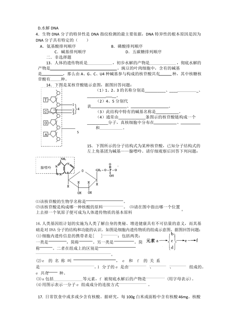 习题遗传信息的携带者-核酸.doc_第2页