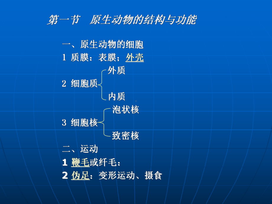 动物学----第四章原生动物门.ppt_第3页