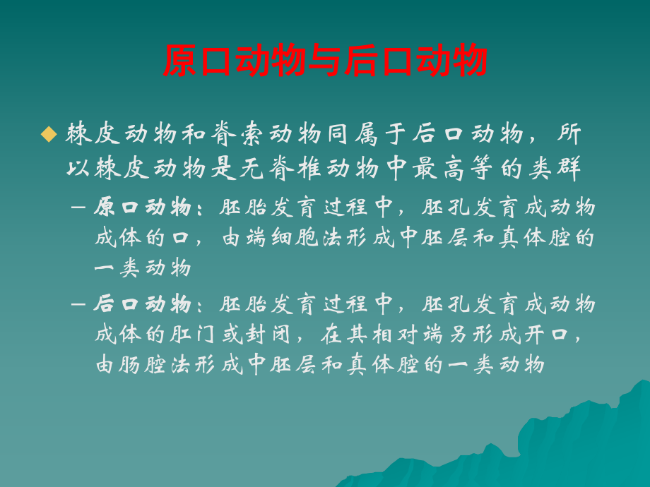 9第11章-棘皮动物门.ppt_第3页