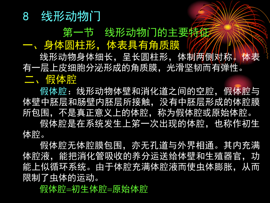 H线形动物门 2.ppt_第2页