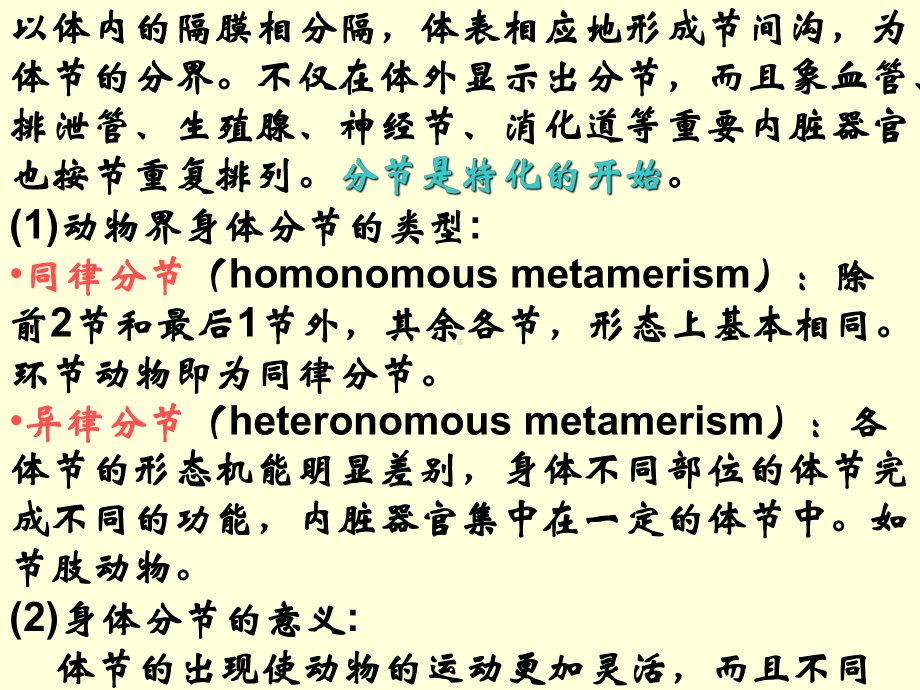 4环节动物.ppt_第2页