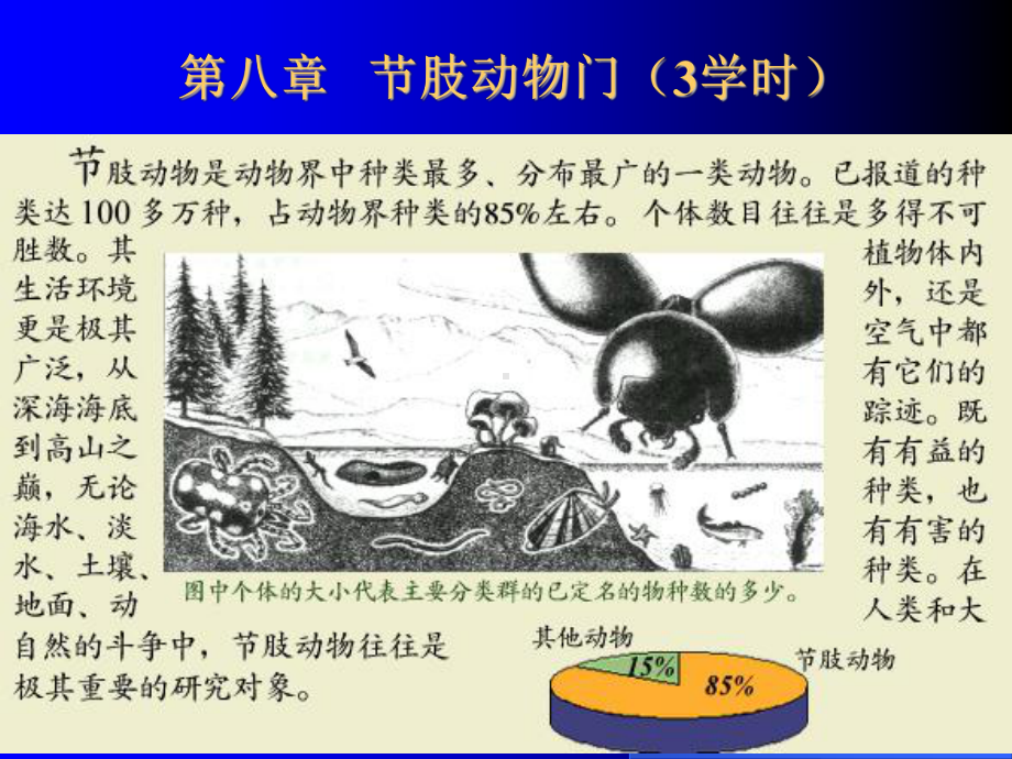 hhhh节肢动物.ppt_第2页