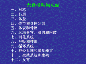 无脊椎动物总结.ppt