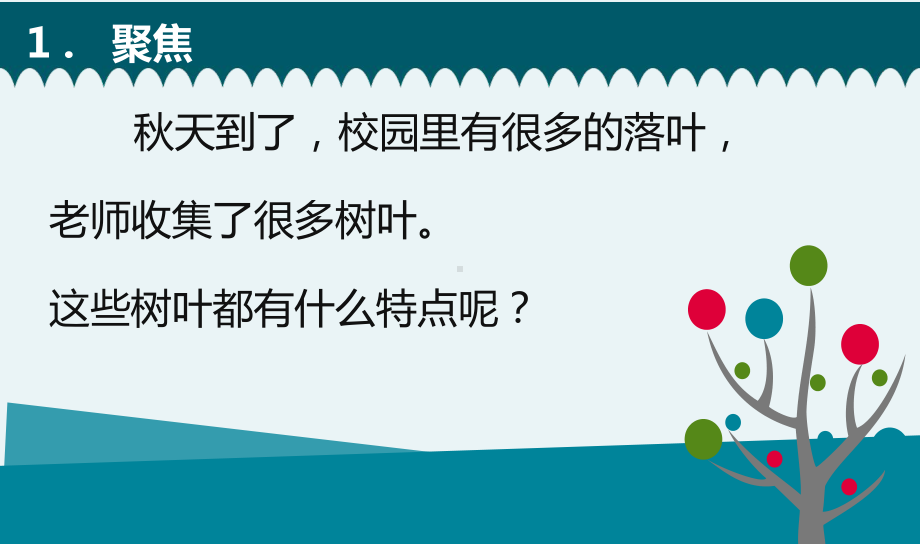 2021新教科版一年级上册科学1.3《观察叶》 ppt课件.pptx_第2页