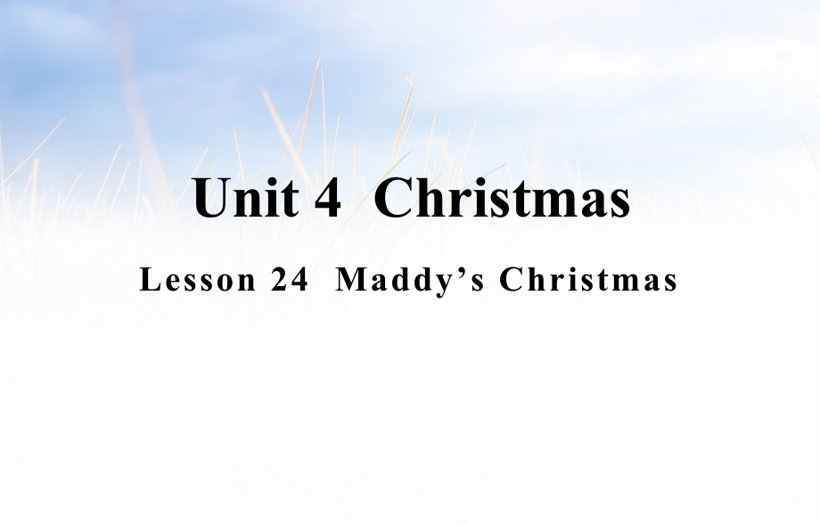 （精）冀教版（三起）六年级上册英语Lesson 24 Maddy’s Christmas ppt课件+素材.zip