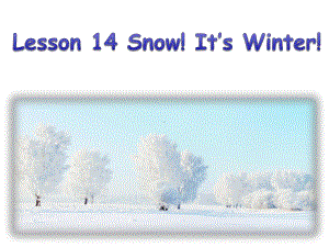 冀教版（三起）六年级上册英语Unit 3 Lesson 14 Snow! It’s Winter!ppt课件.ppt