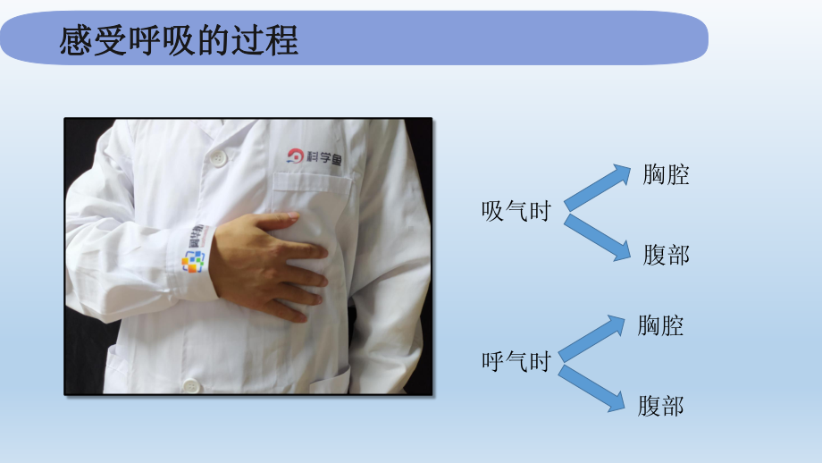 小学科学教科版四年级上册第二单元第1课《感受我们的呼吸》课件（2020新版）9.pptx_第3页