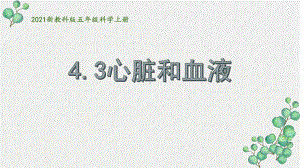 2021新教科版五年级科学上册《心脏和血液》课件.pptx