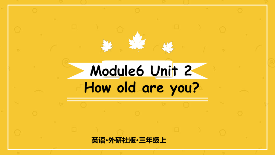 （精）外研版（三起）三年级上册英语Module 6 Unit 2 How old are you？课件（含素材）.zip