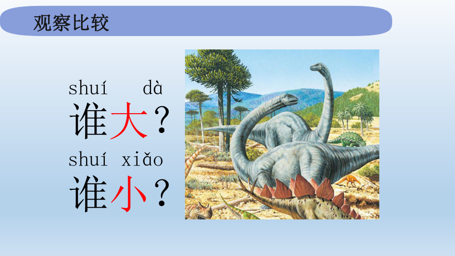 小学科学教科版一年级上册第二单元第1课《在观察中比较》课件9.pptx_第3页