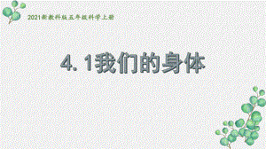 2021新教科版五年级科学上册第四单元《健康生活》全部课件.pptx