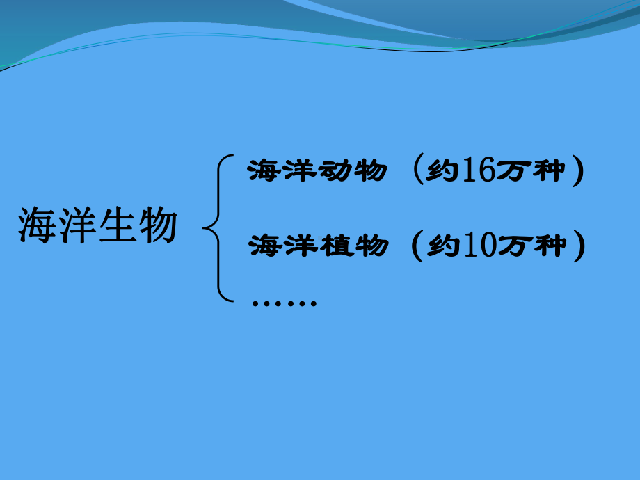 苏少版四年级上册美术6海洋世界 ppt课件.ppt_第3页