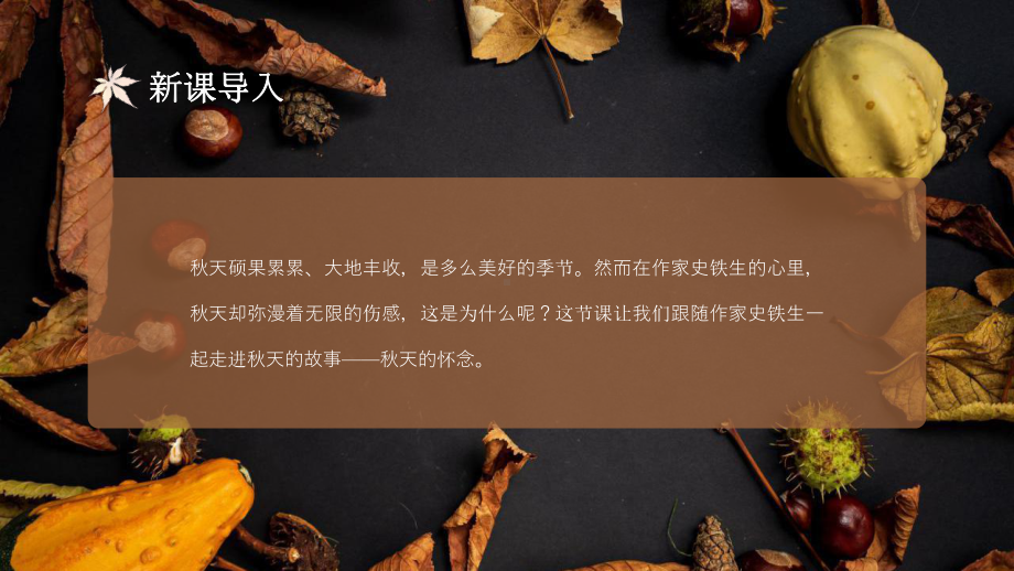 初中语文部编版七年级上册《秋天的怀念》公开课教学课件.pptx_第3页